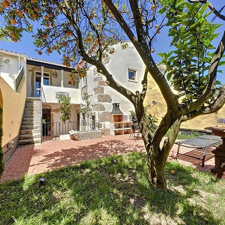 Villa Victoria Caminha Zewnętrze zdjęcie